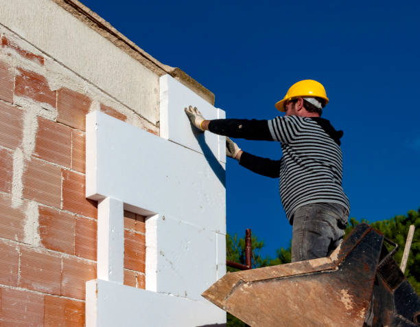 Best Affordable Insulation Services  in Lees Summit, MO