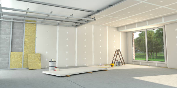 Best Best Insulation Companies  in Lees Summit, MO