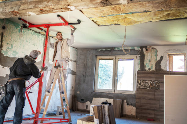 Best Cellulose Insulation  in Lees Summit, MO