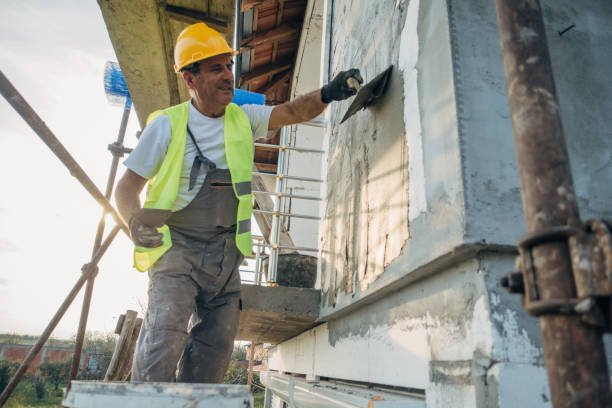 Best Insulation Repair Services  in Lees Summit, MO
