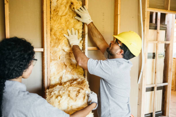 Best Insulation Removal Services  in Lees Summit, MO