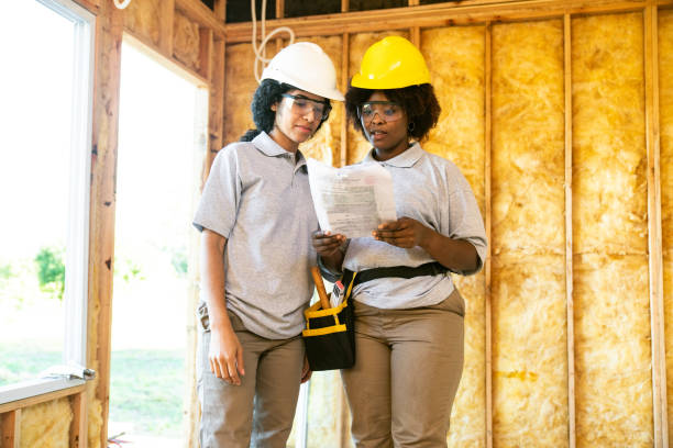 Best Affordable Insulation Services  in Lees Summit, MO