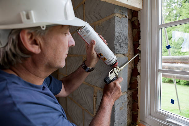 Best Fiberglass Insulation  in Lees Summit, MO
