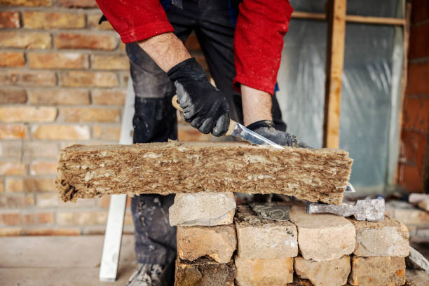 Best Residential Insulation Services  in Lees Summit, MO